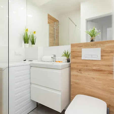 Bright And Quiet Studio With Balcony In The Center Of By Renters Apartment